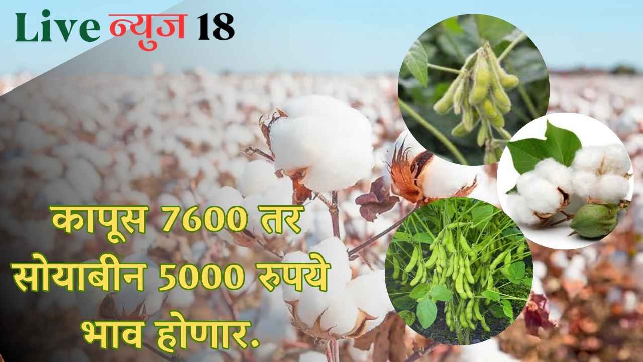 Cotton Soybean MSP 2024-25