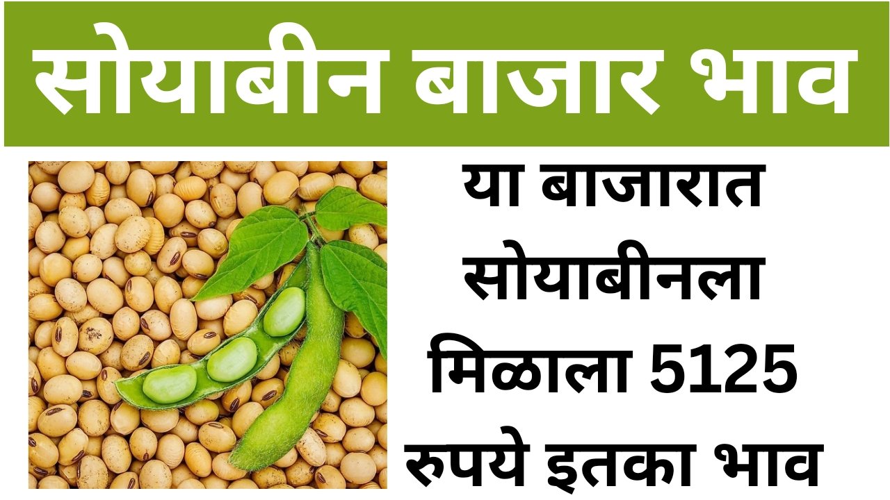 मोठी बातमी SBIPNBICICI आणि HDFC बँकांच्या ग्राहकांना 20241207 131639 0000