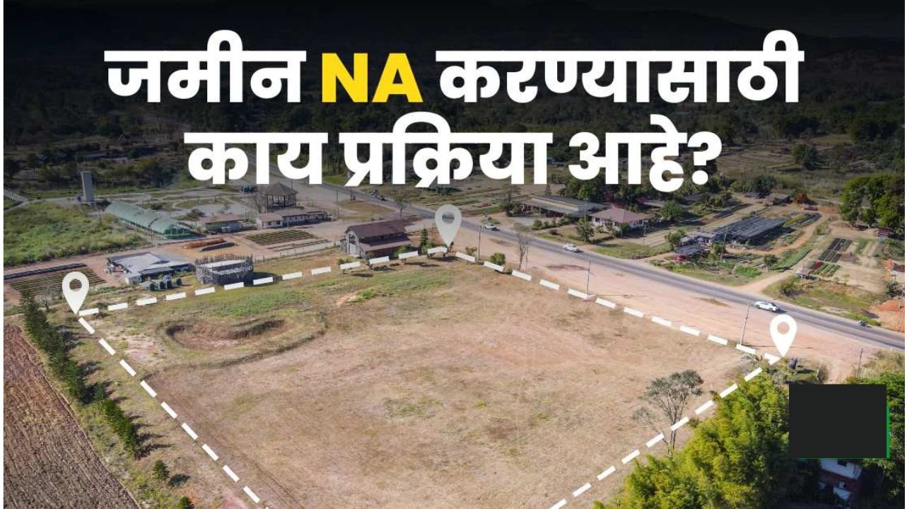 कागदाचा कप ool करण्यासाठी व्यवसाय कसे सुरू करावे करा 20250610 011210 0000