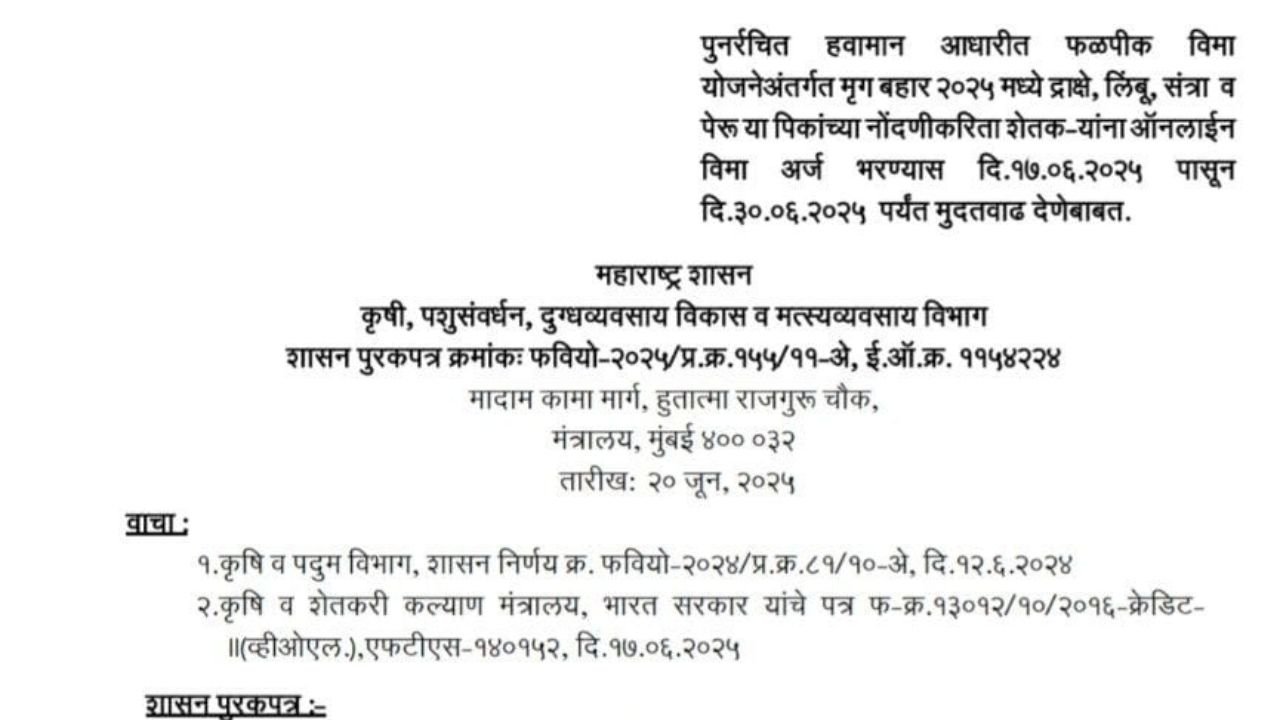 कागदाचा कप ool करण्यासाठी व्यवसाय कसे सुरू करावे करा 20250621 181104 0000