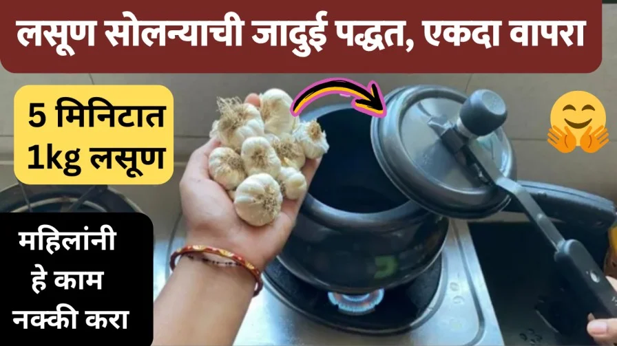 लसूण सोलन्याची जादुई पद्धत एकदा वापरा 20240515 155845 0000