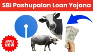 SBI Pashupalan Loan Yojana 20250709 020643 0000