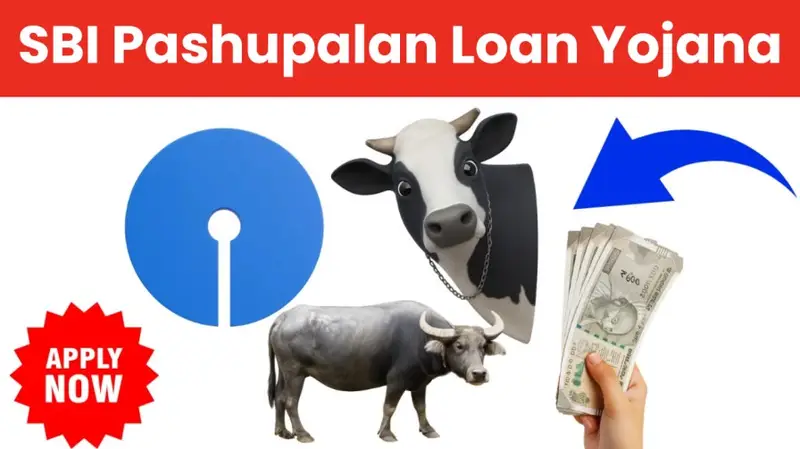 SBI Pashupalan Loan Yojana 20250709 020643 0000