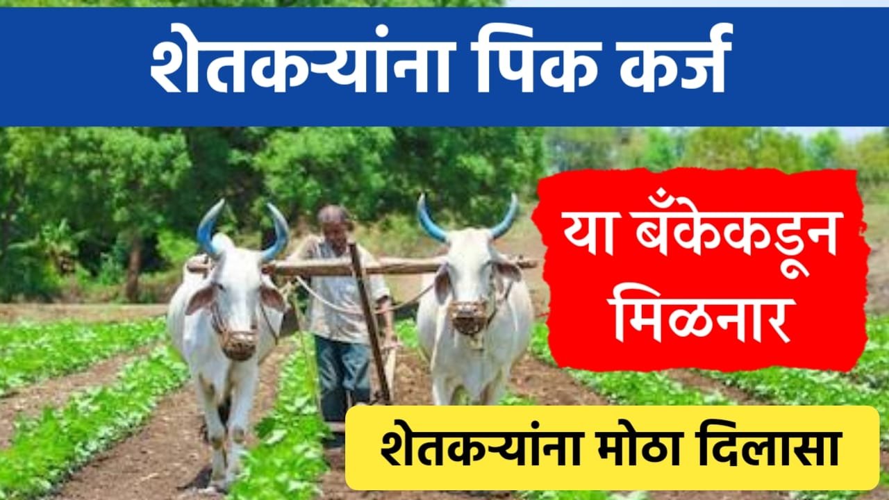 WhatsApp Image 2025 07 22 at 12.54.54 PM