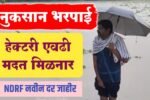 WhatsApp Image 2025 08 25 at 3.01.06 PM