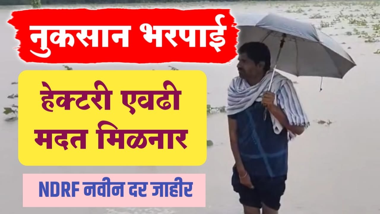 WhatsApp Image 2025 08 25 at 3.01.06 PM
