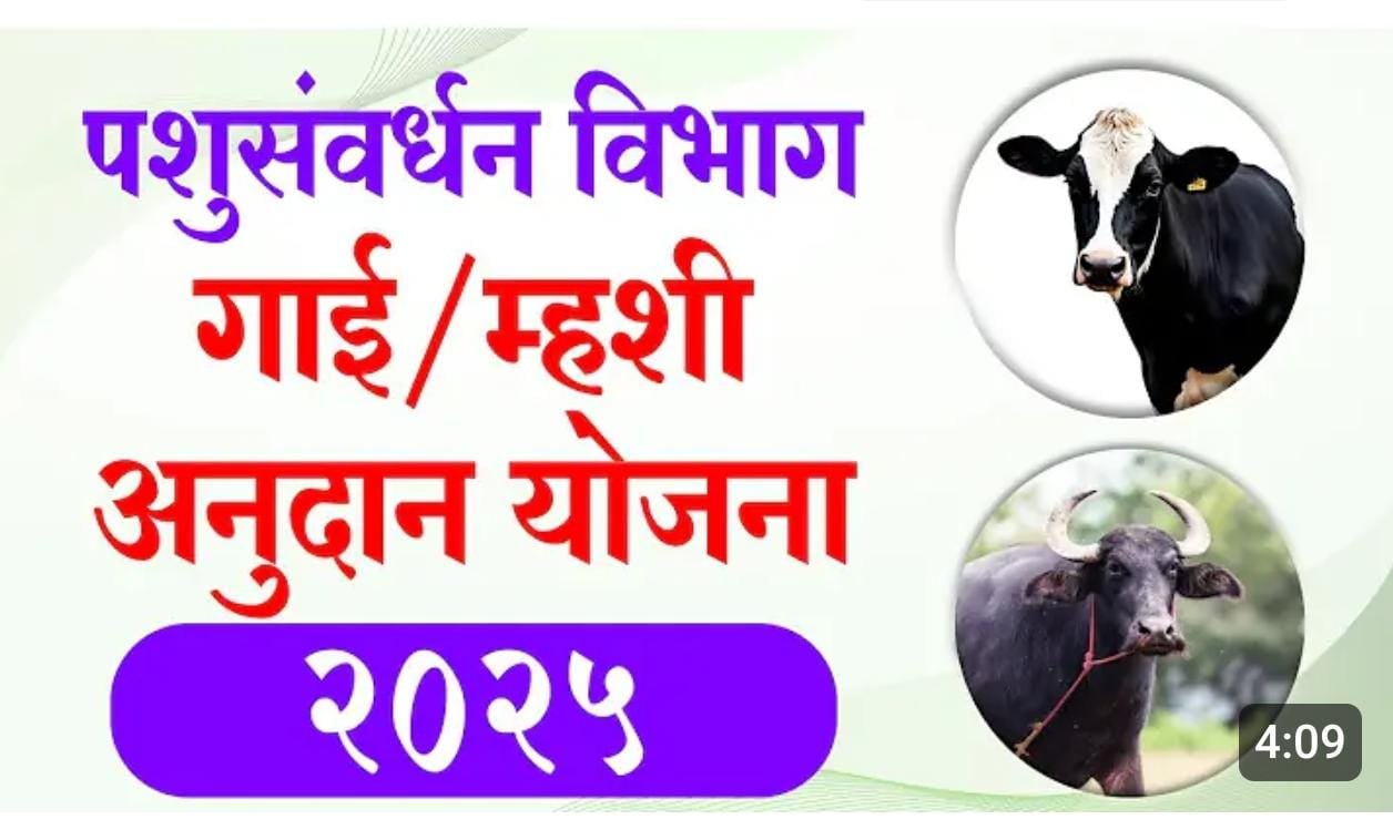 WhatsApp Image 2025 08 25 at 6.35.54 AM
