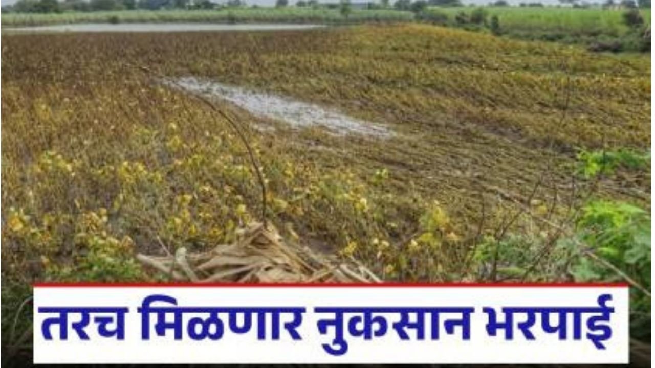 Add a heading 20250927 221425 0000