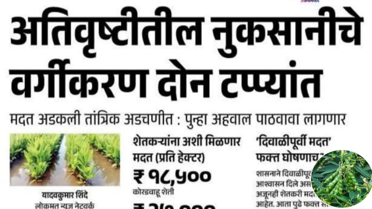 WhatsApp Image 2025 10 22 at 6.31.16 AM