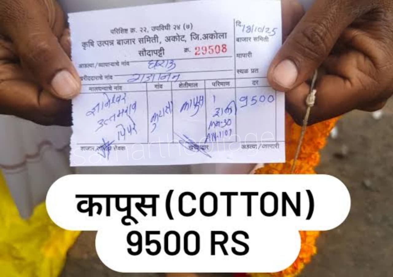 WhatsApp Image 2025 10 27 at 22.24.41 05b360d2