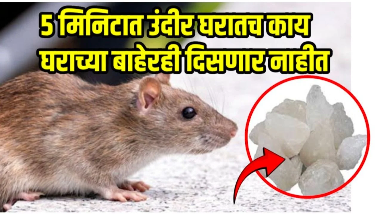 Add a heading 20250811 081001 0000