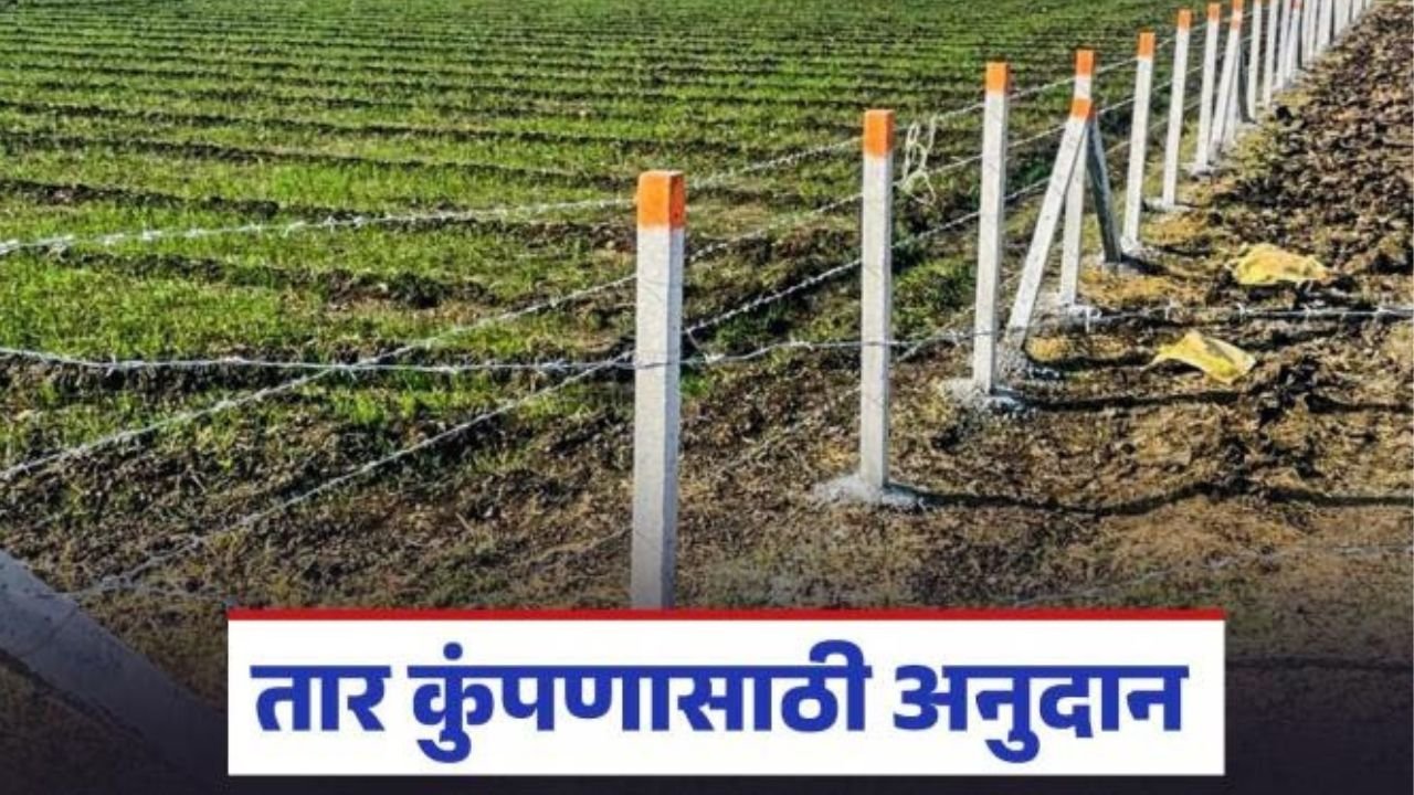 Add a heading 20251113 172516 0000