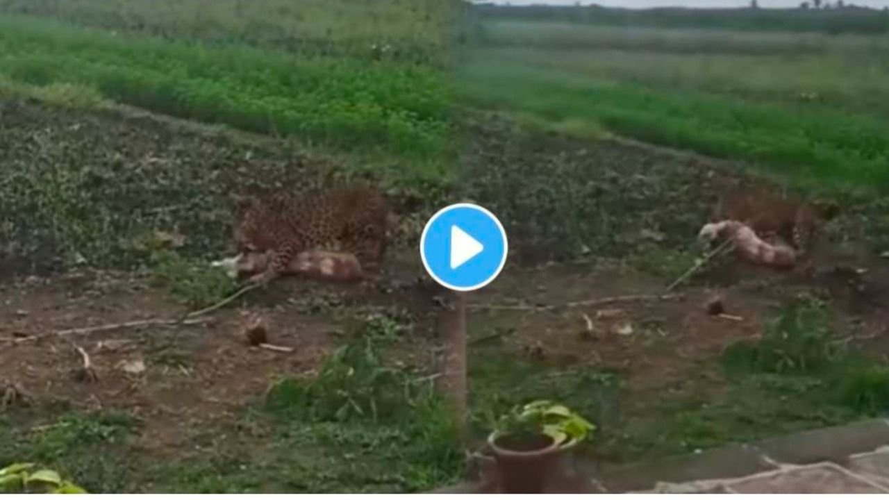 Add a heading 20251115 094608 0000