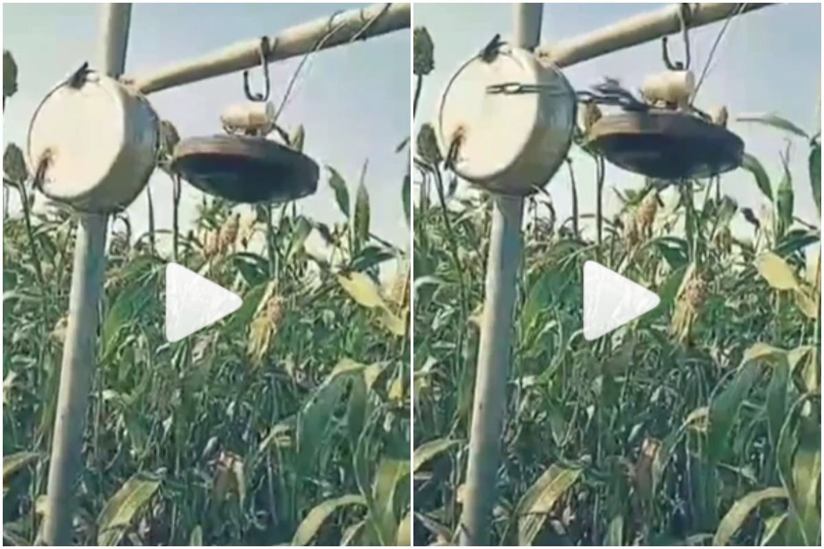 image search 1763874076518