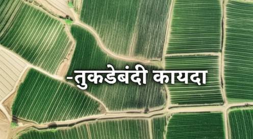 image search 1764026102062