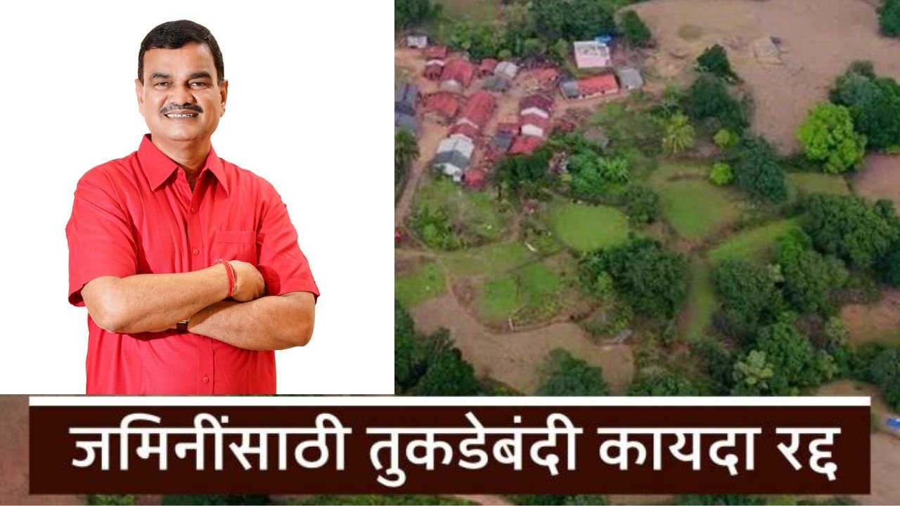 प्रीती झिंटाच्या गाण्यावर आजीने आपली जादू दाखवली 20251105 093756 0000