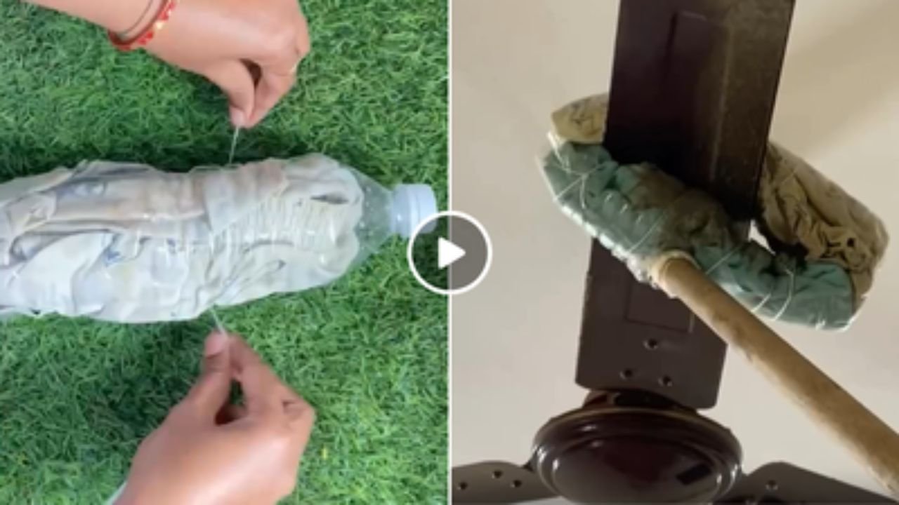 प्रीती झिंटाच्या गाण्यावर आजीने आपली जादू दाखवली 20251105 105913 0000