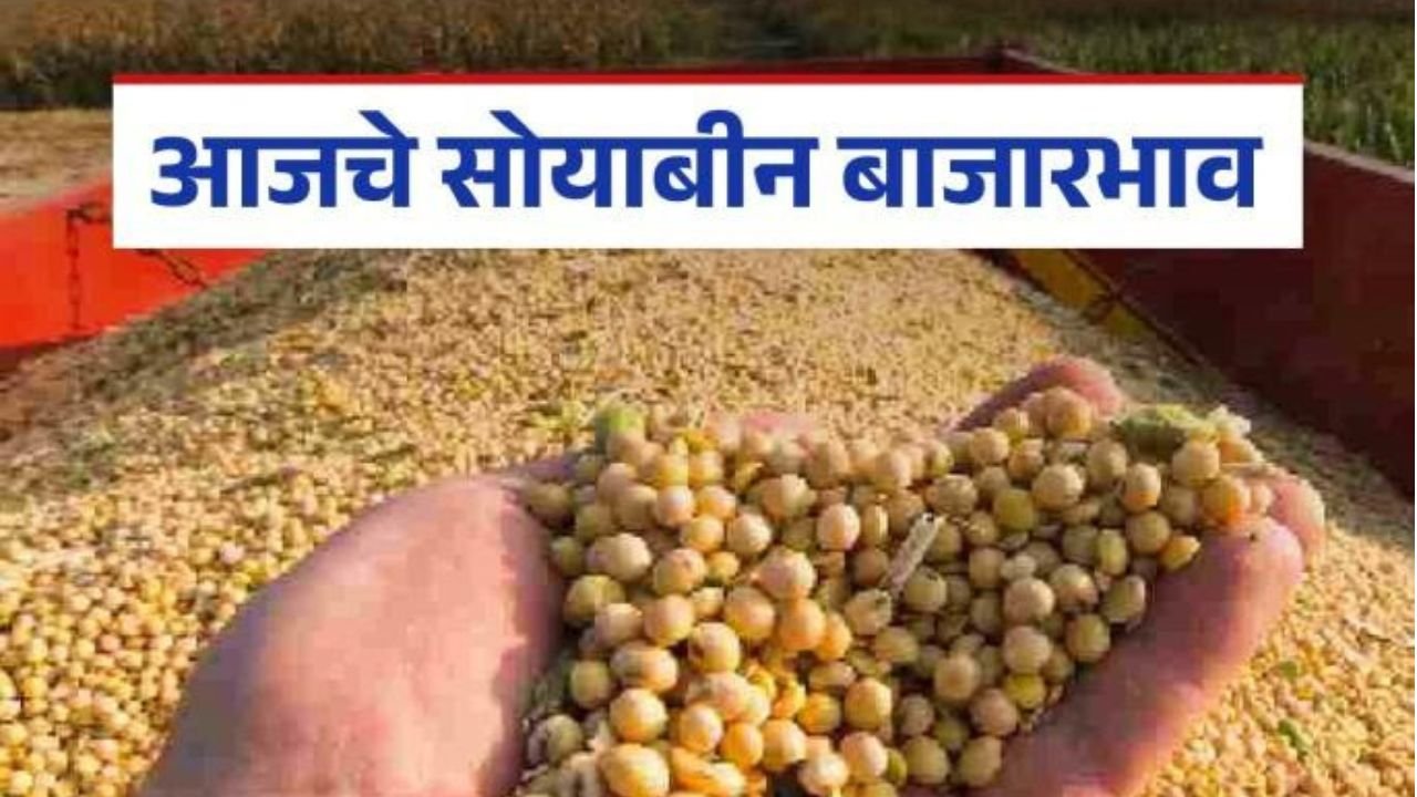 प्रीती झिंटाच्या गाण्यावर आजीने आपली जादू दाखवली 20251116 211819 0000