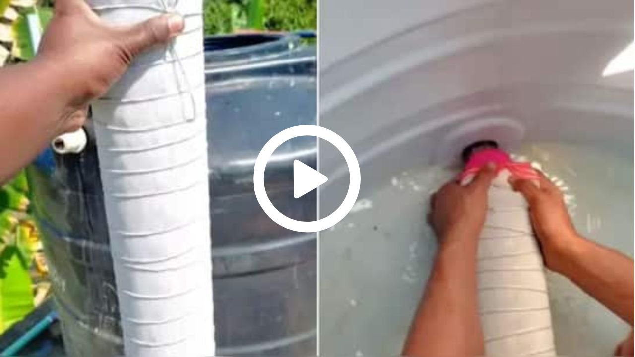 प्रीती झिंटाच्या गाण्यावर आजीने आपली जादू दाखवली 20251118 100324 0000