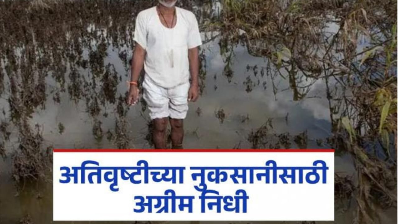 प्रीती झिंटाच्या गाण्यावर आजीने आपली जादू दाखवली 20251122 145400 0000