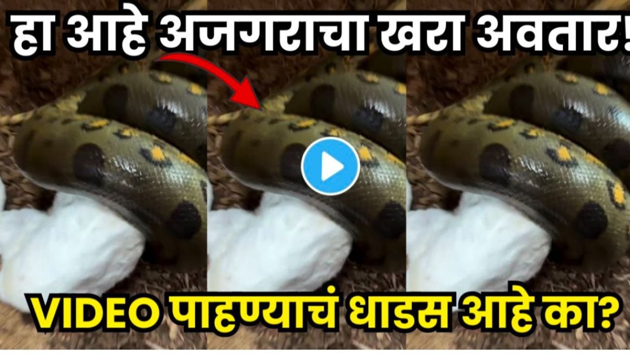 Add a heading 20251222 090722 0000