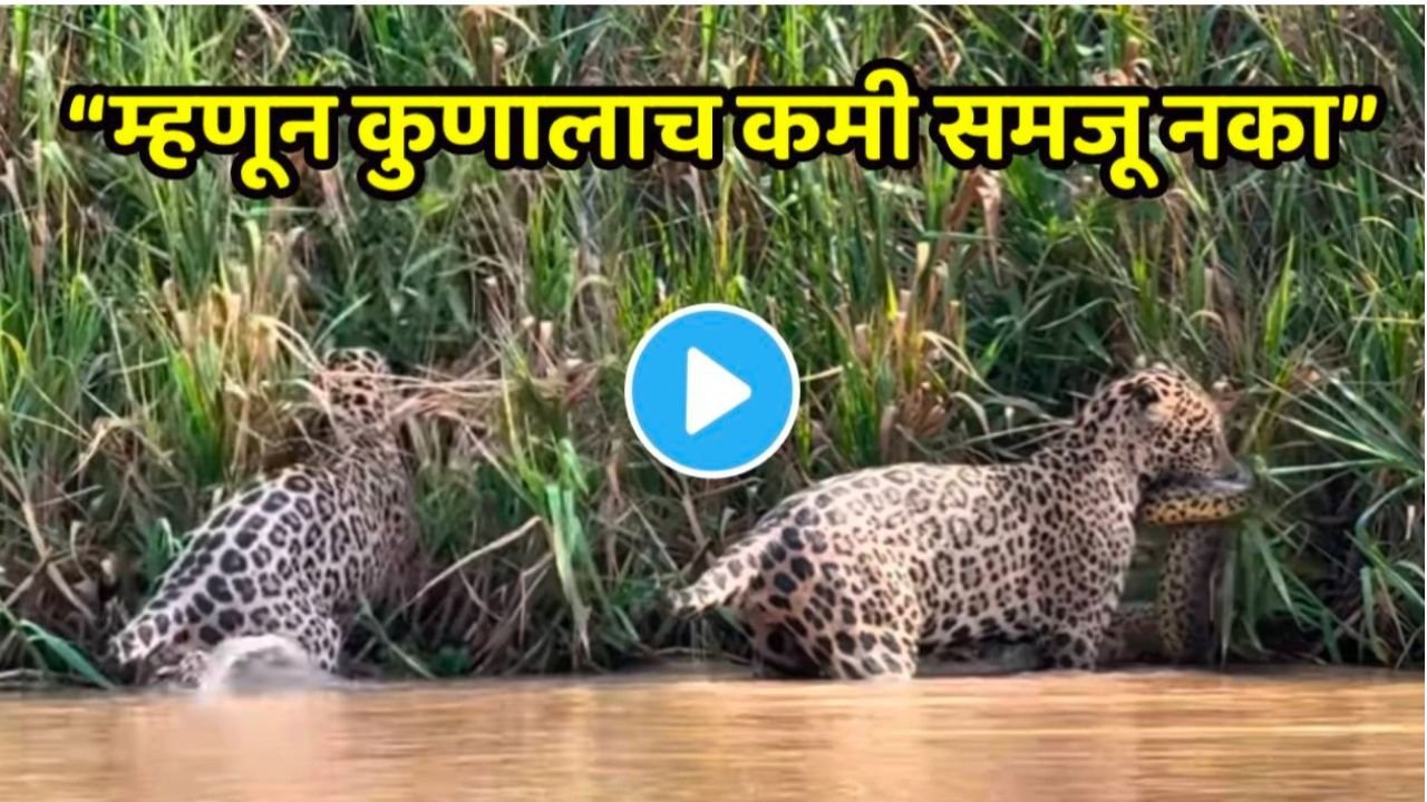 प्रीती झिंटाच्या गाण्यावर आजीने आपली जादू दाखवली 20251203 121408 0000