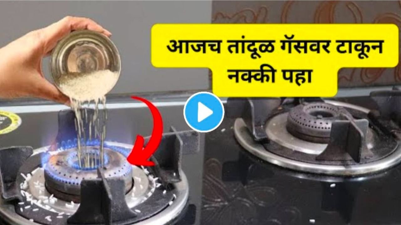 प्रीती झिंटाच्या गाण्यावर आजीने आपली जादू दाखवली 20251223 172016 0000