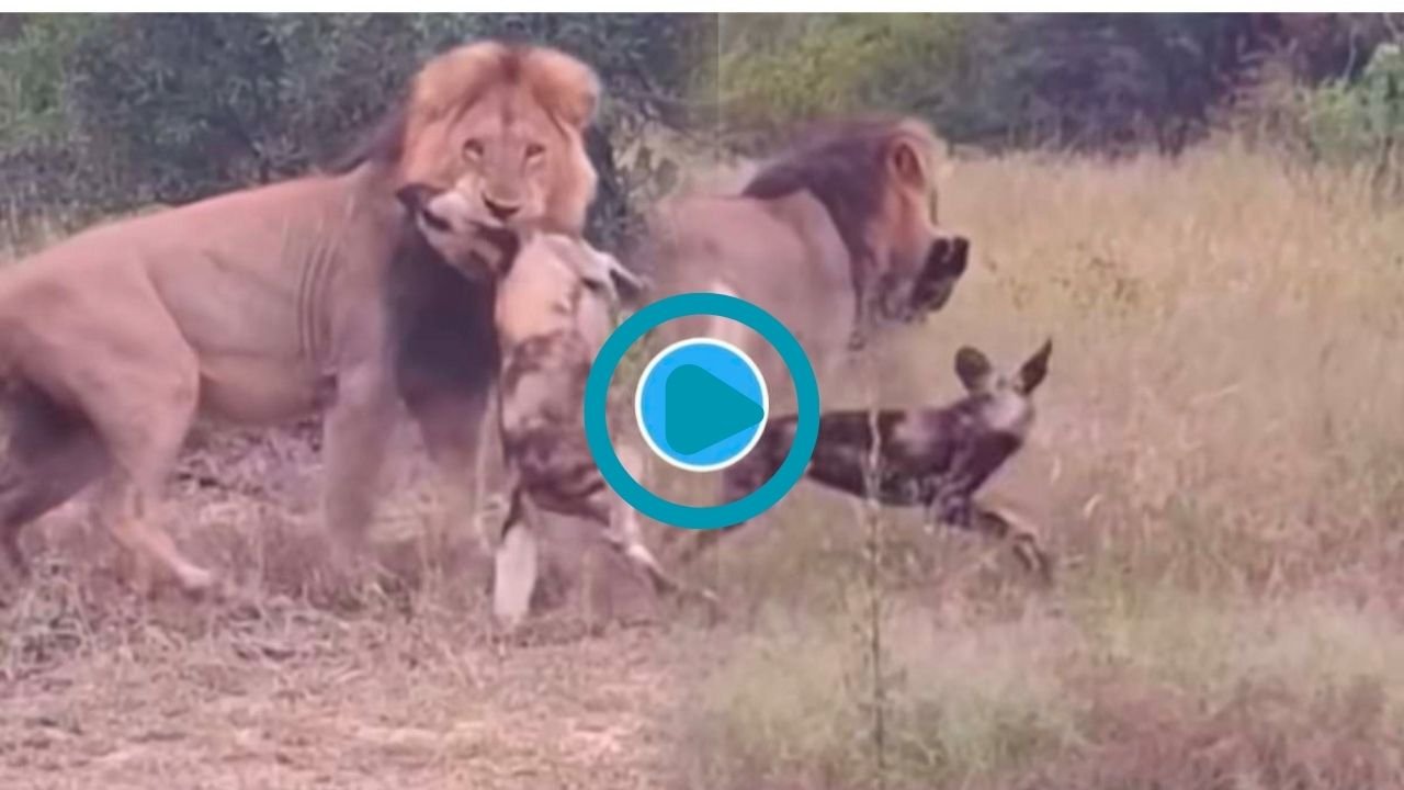 Add a heading 20260102 133451 0000