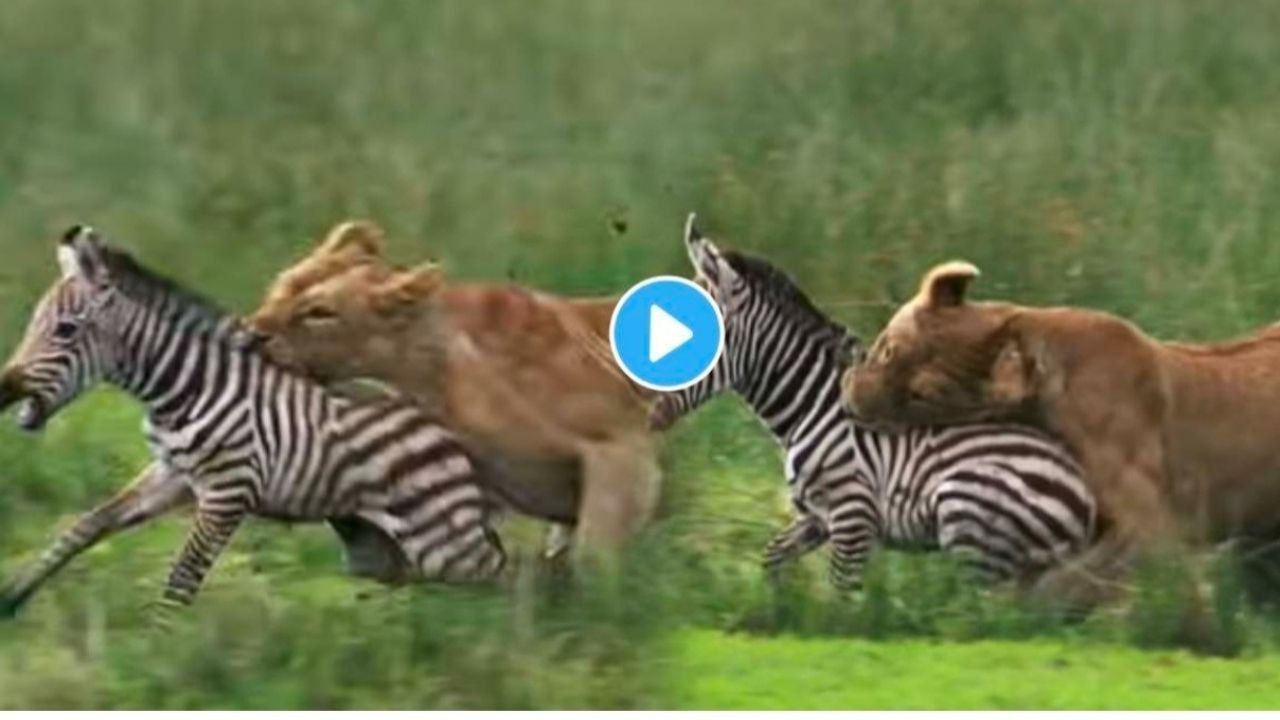 Add a heading 20260107 175536 0000