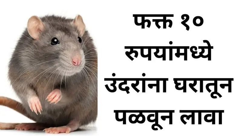 Add a heading 20260107 202831 0000 1024x576 1