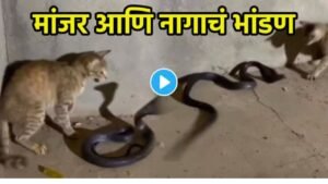 Add a heading 20260109 130009 0000