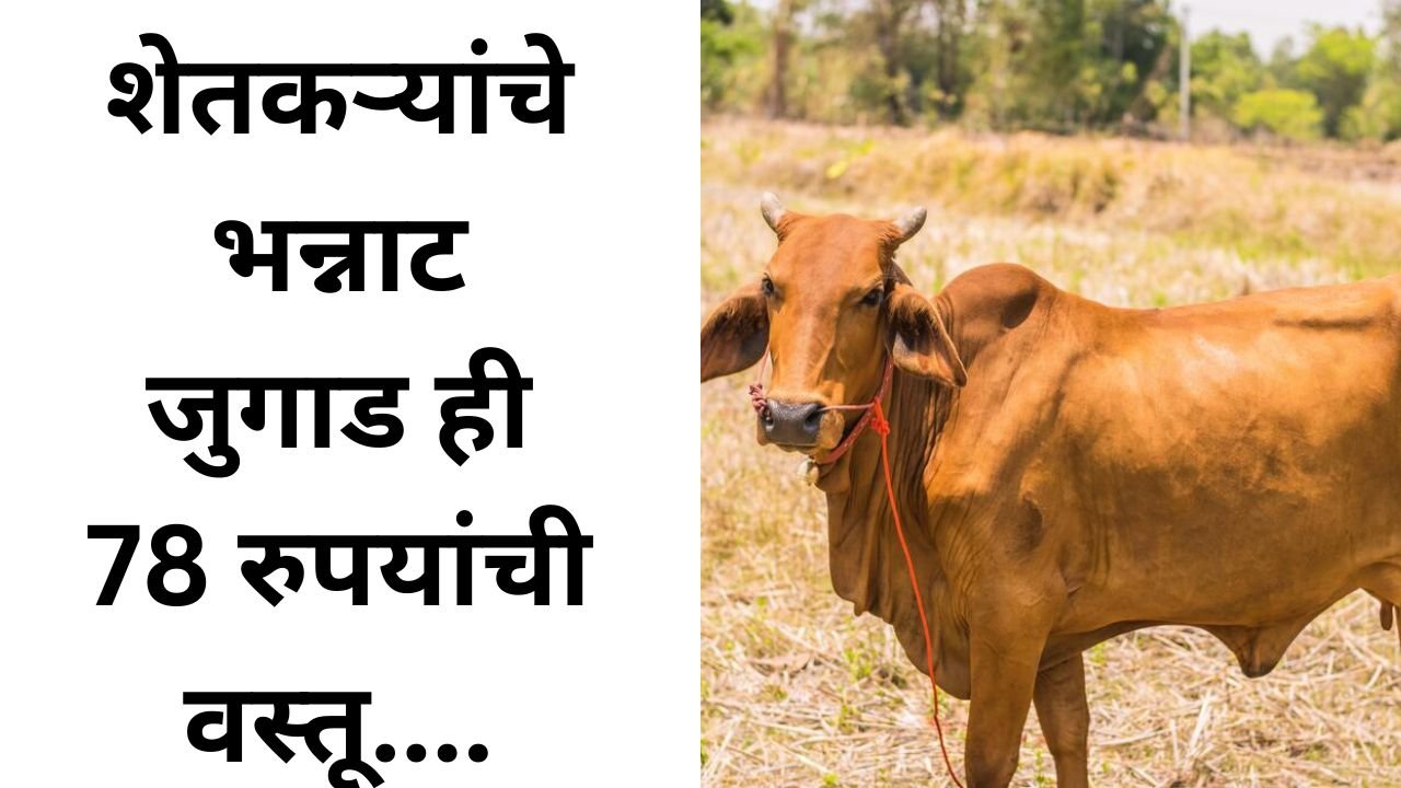 Add a heading 20260124 113455 0000