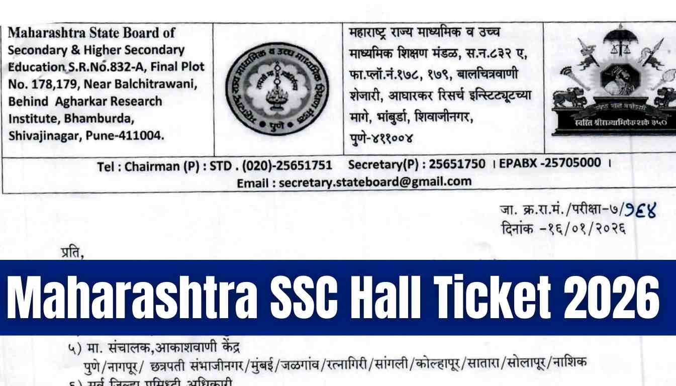 image search 1769141397109