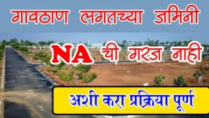 image search 1771203575648