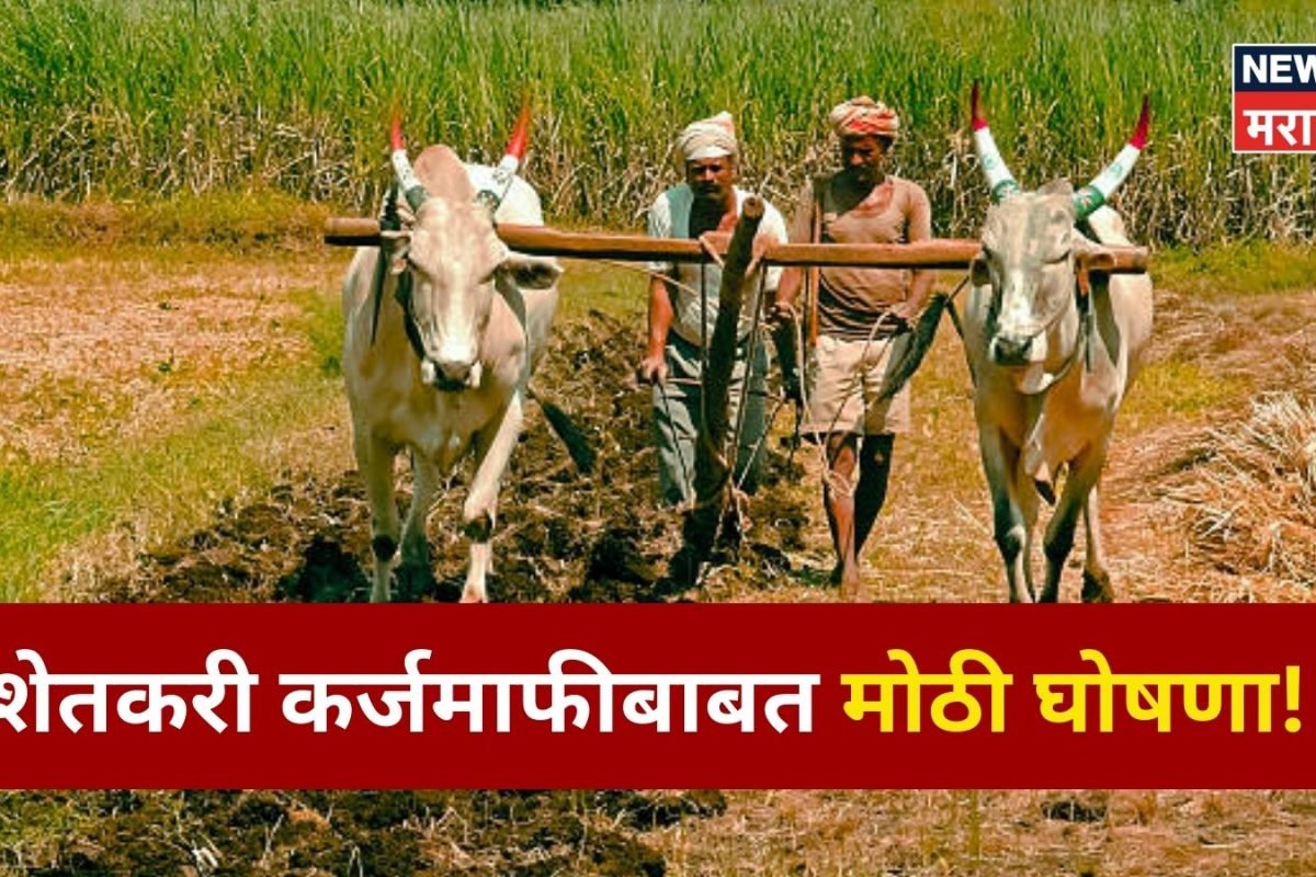 image search 1771224093993