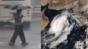 image search 1771832271068