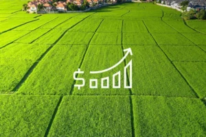 image search 1772212045730