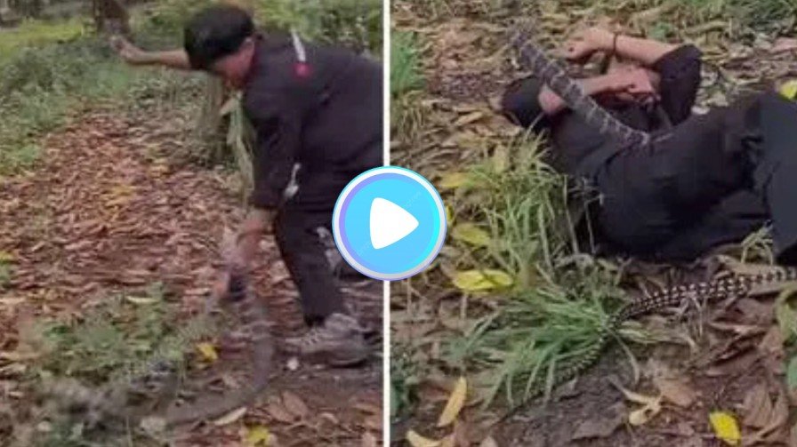 Untitled design 20260328 135846 0000