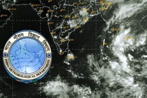 image search 1773290552198