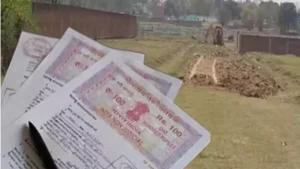 image search 1773634695890