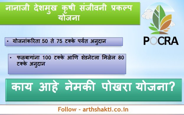 image search 1774101003727