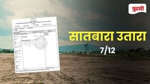 image search 1774603998337