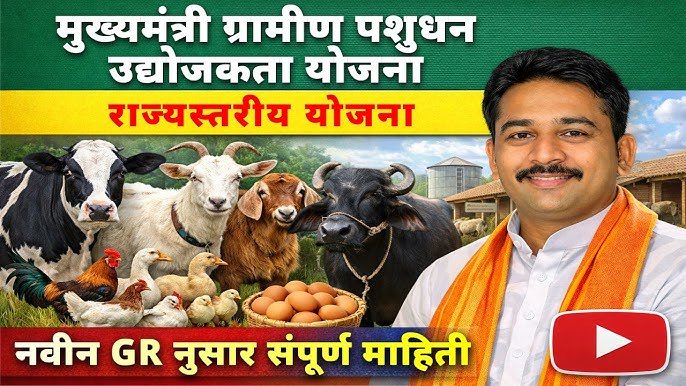 image search 1774669827430