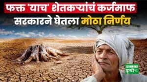 image search 1774849399582