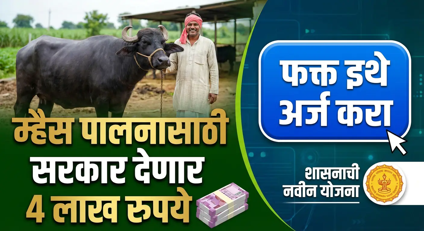 social thumb 69bfbe3d1d27b.png